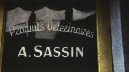 a.sassin