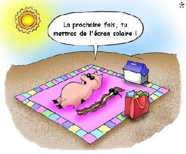 Coup de soleil sur un cochon