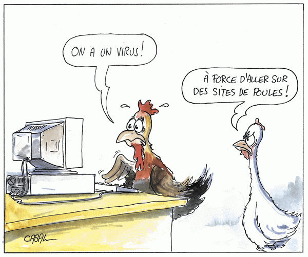 grippe aviaire,site poules