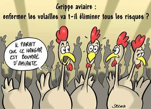 grippe aviaire amiante