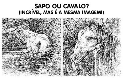 illusion_optique_sapo ou cavalo