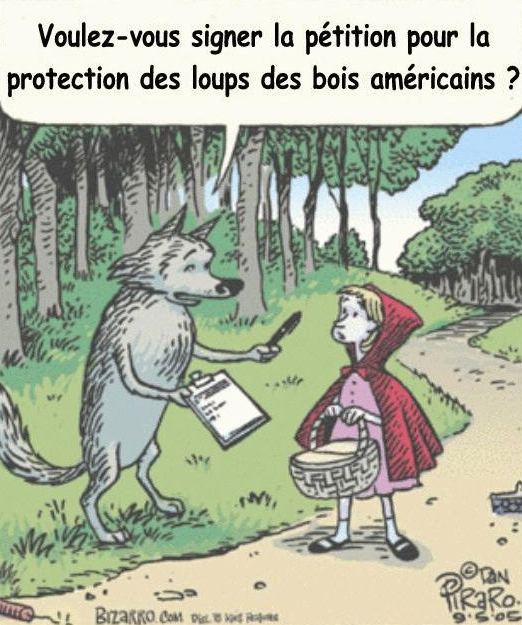protection loups des bois americains