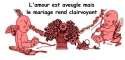 humour image photo avis_mariage_14