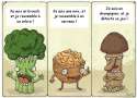 humour image photo Brocolie, noix, champignon