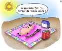 humour image photo Coup de soleil sur un cochon