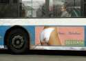 humour image photo delicate bus