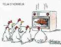 humour image photo film.horreur.poulets