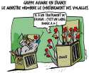 humour image photo grippe aviaire confinement