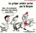 humour image photo grippe_aviaire_turquie