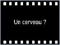humour image photo bac.cerveau