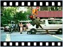 humour image photo bad.car.accident