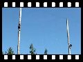 humour image photo championnat.grimper.arbre
