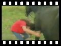 fait la maline humour image photo fait la maline