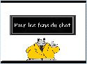 le.chat.compil humour image photo le.chat.compil