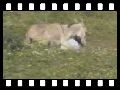 humour image photo ne.pas.uriner.en.pleine.nature