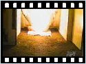 prout humour image photo prout