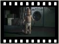 humour image photo pub.bebe.armes.egales