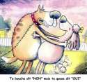 humour image photo Amourscanines