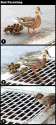 humour image photo Bad Parenting 1