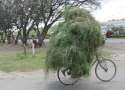 humour image photo Bisiklet 05