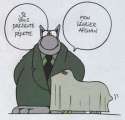 humour image photo Chat pepette levrier afghan