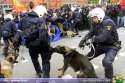 humour image photo Chien policier