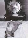 humour image photo Feignasse2