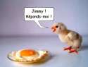humour image photo Grippe aviaire JIMMY