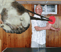 humour image photo SportCat