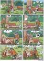 humour image photo Un ptit effort