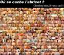 humour image photo abricot
