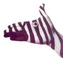 humour image photo animain zebre