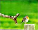 humour image photo c est la nature