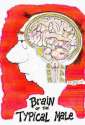 humour image photo cerveau homme