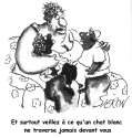 humour image photo chat blanc