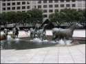 humour image photo chevaux fontaine