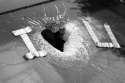 humour image photo elle va aimer