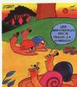 humour image photo escargots mini coquilles