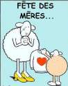 humour image photo fete des meres