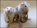 humour image photo jazz band souris