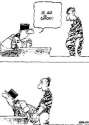 humour image photo rapport