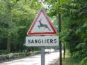 humour image photo sangliers