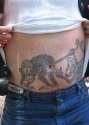 humour image photo tatouage singe nombril