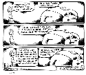 humour image photo tom toles