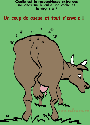 humour image photo virginite mouches