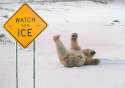 humour image photo watch for ice